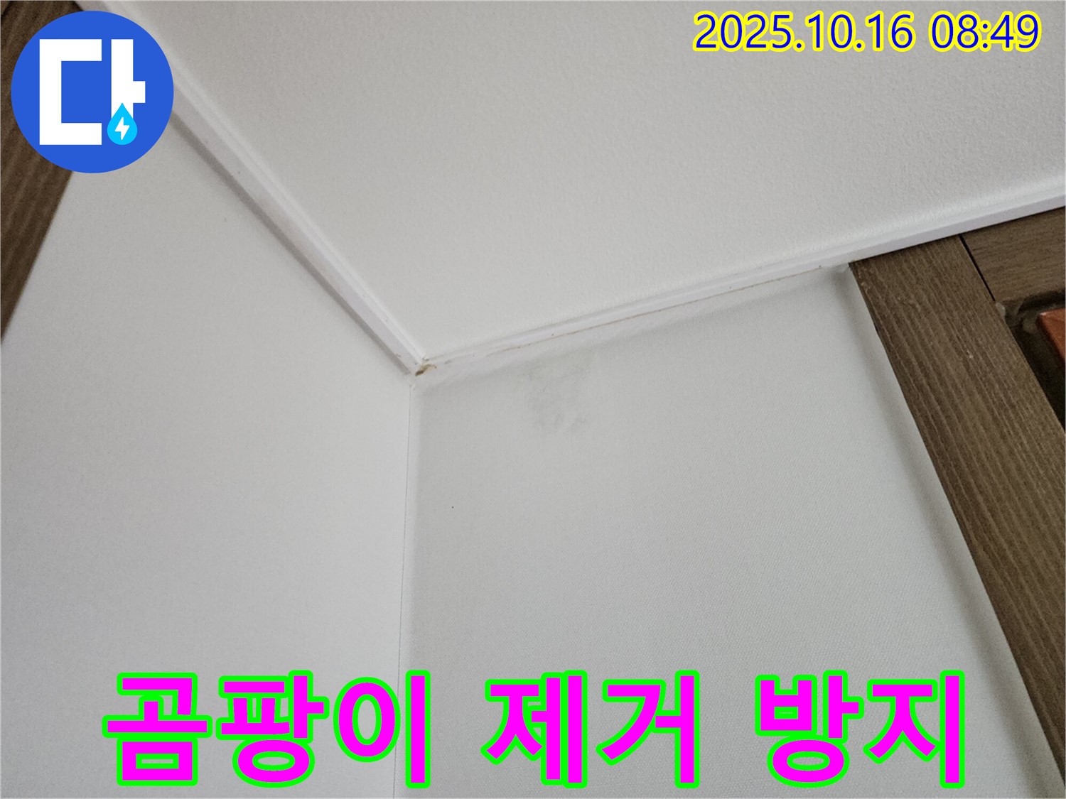 남면 경신리 벽 얼룩 - 곰팡이 제거와 방지 시공으로 건강한 공간을 만들어 드립니다.