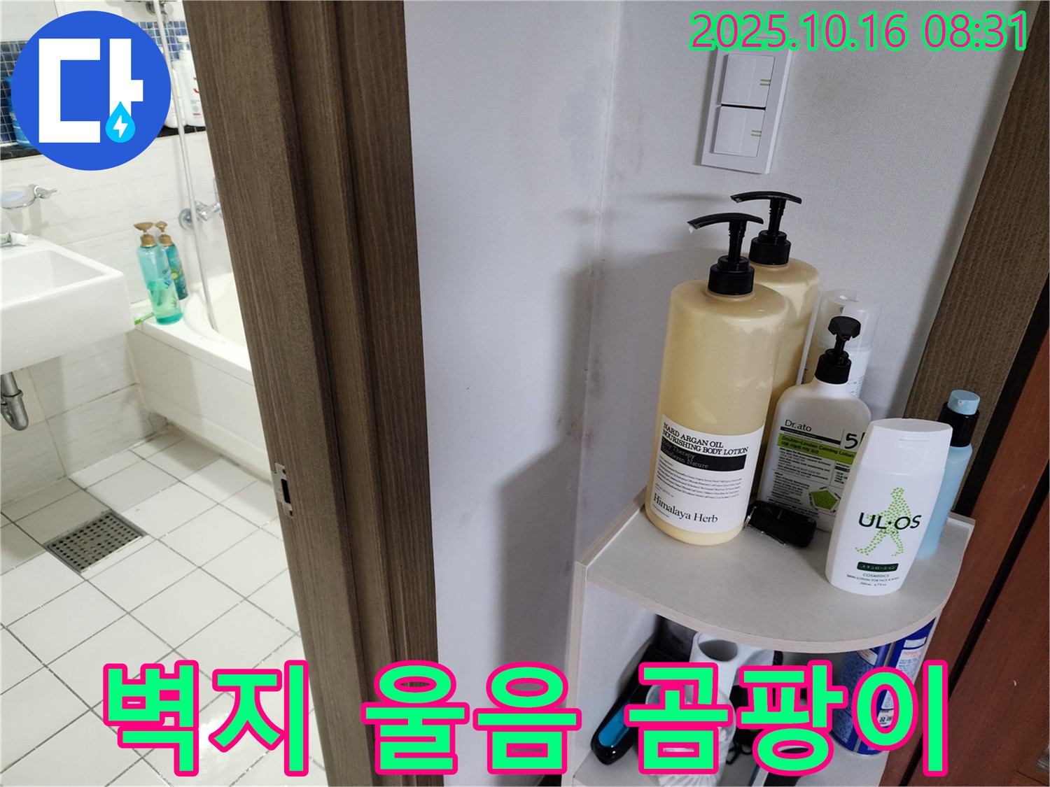 양주 경신리 욕실 누수 - 벽지 울음과 곰팡이, 누수 의심