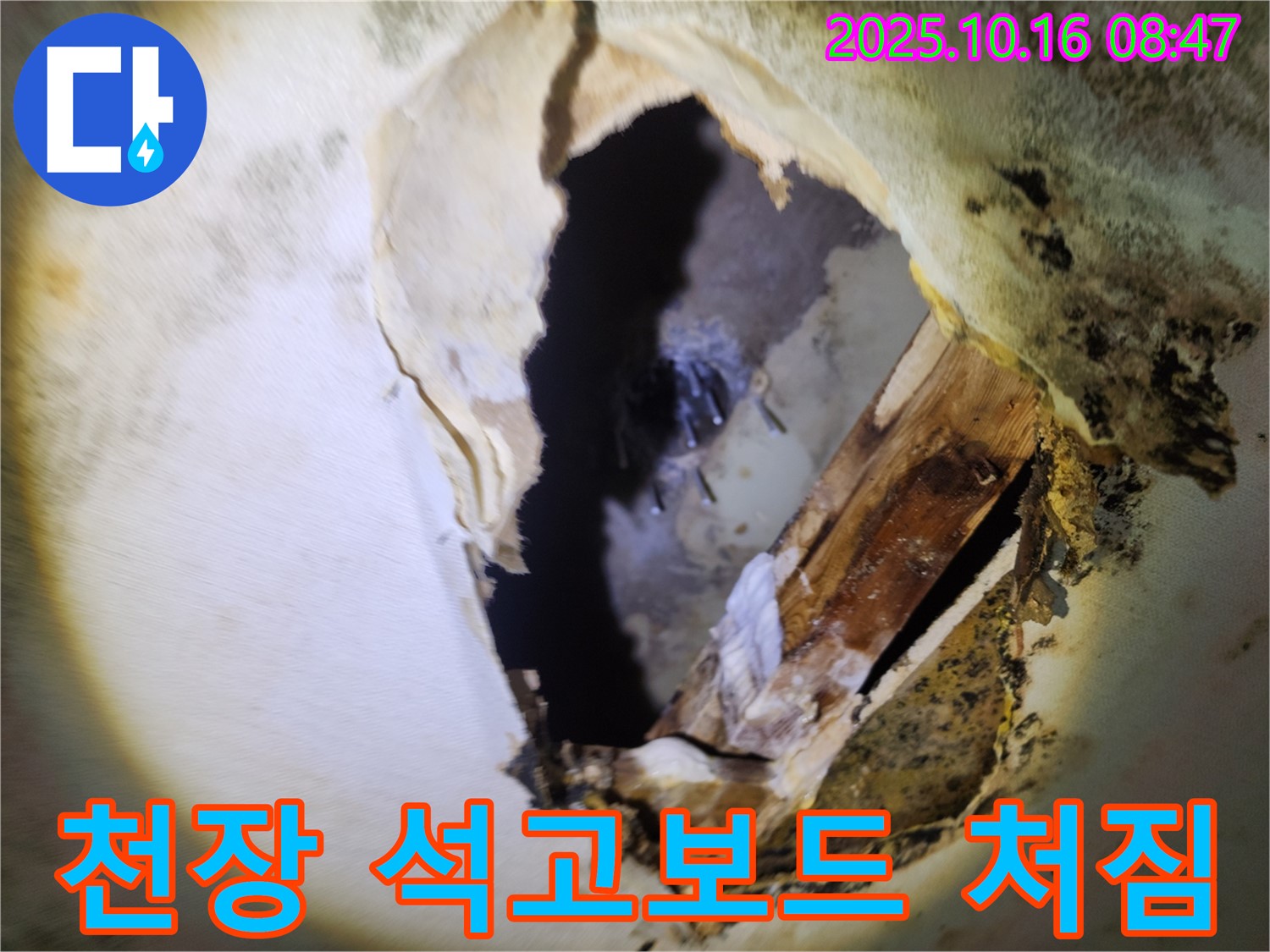 양주 경신리 천장 누수 - 석고보드 처짐 현상을 확인하고 누수 원인을 정확하게 진단하는 전문 누수탐지 과정