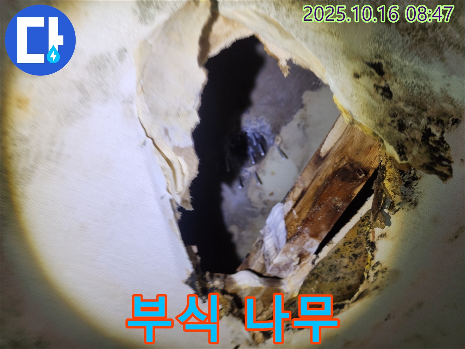 양주 누수탐지 - 천장 속 부식된 나무와 곰팡이 - 건물 안전을 위협하는 심각한 상황, 긴급 점검 필요