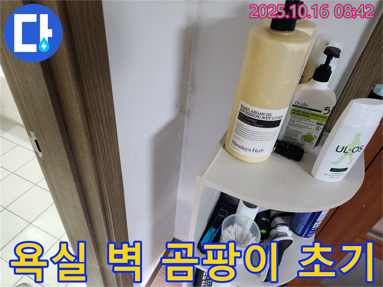 양주시 남면 경신리 욕실 벽면 곰팡이 초기 발생 - 빠른 누수 진단과 해결이 중요합니다.