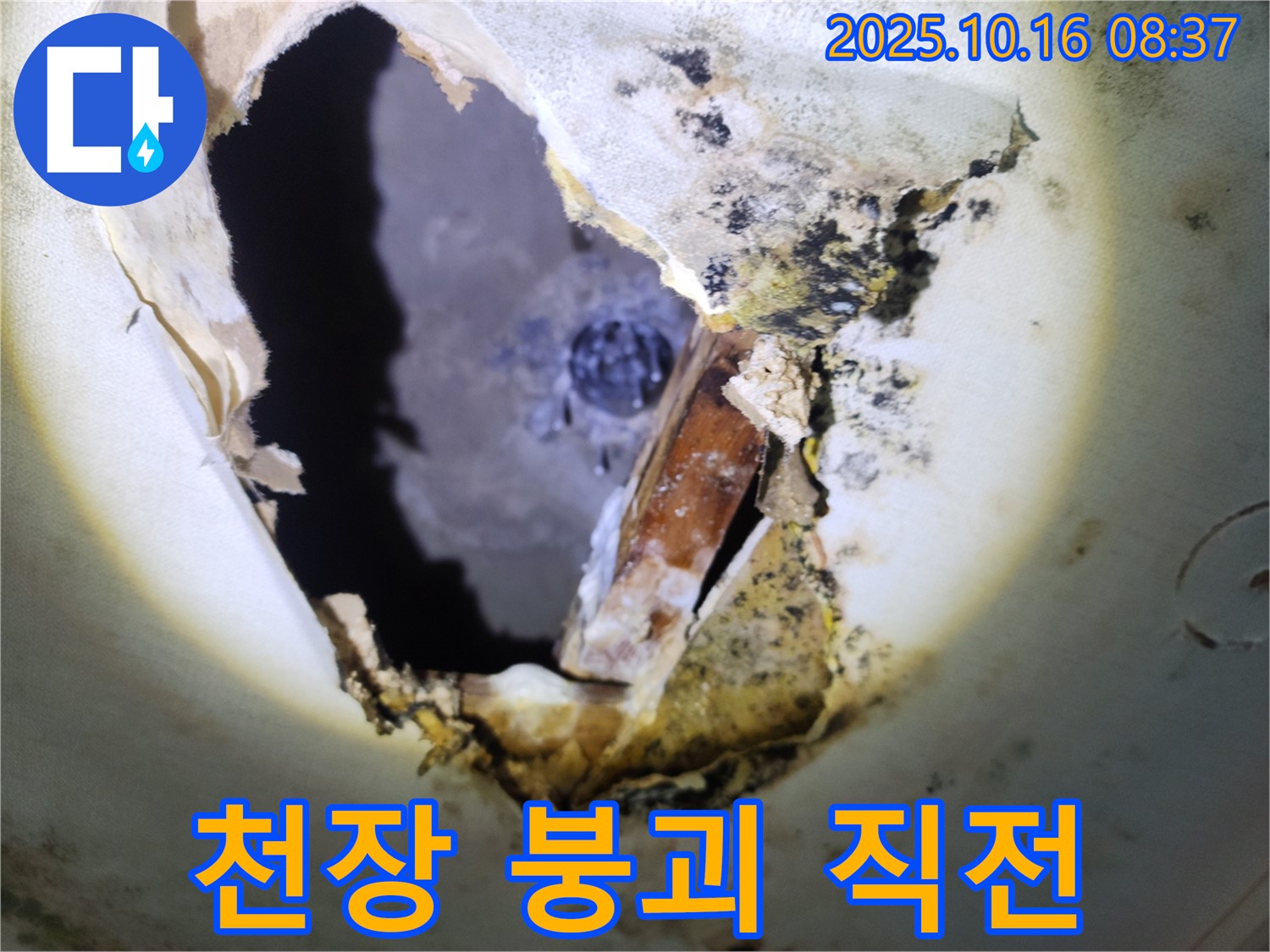 양주시 남면 경신리 주택 천장 - 곰팡이 천장, 천장이 내려앉기 직전! 긴급 상황입니다!