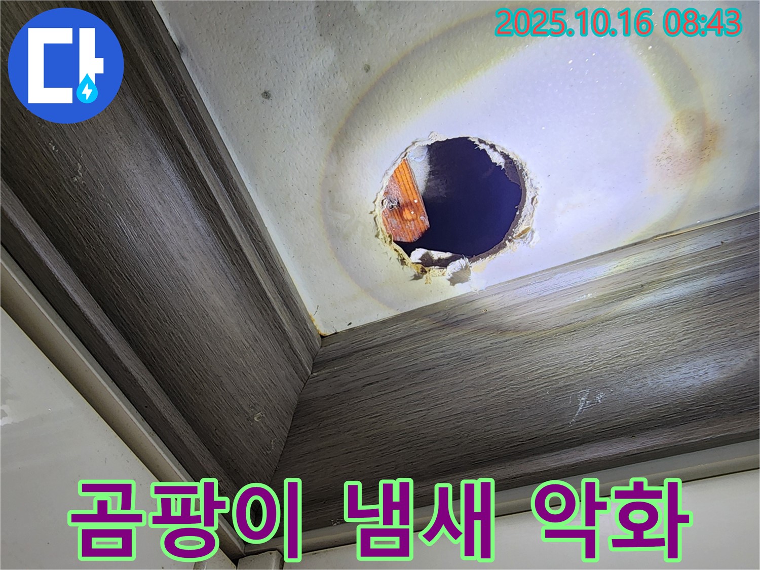 양주시 남면 경신리 천장 구멍 누수 - 곰팡이 냄새 - 건강 악화