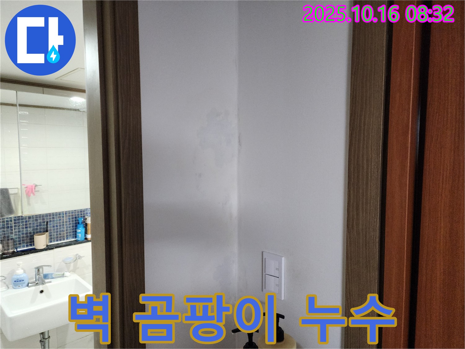 양주시 남면 벽 곰팡이 - 누수 해결이 우선 - 경신리 누수 전문가