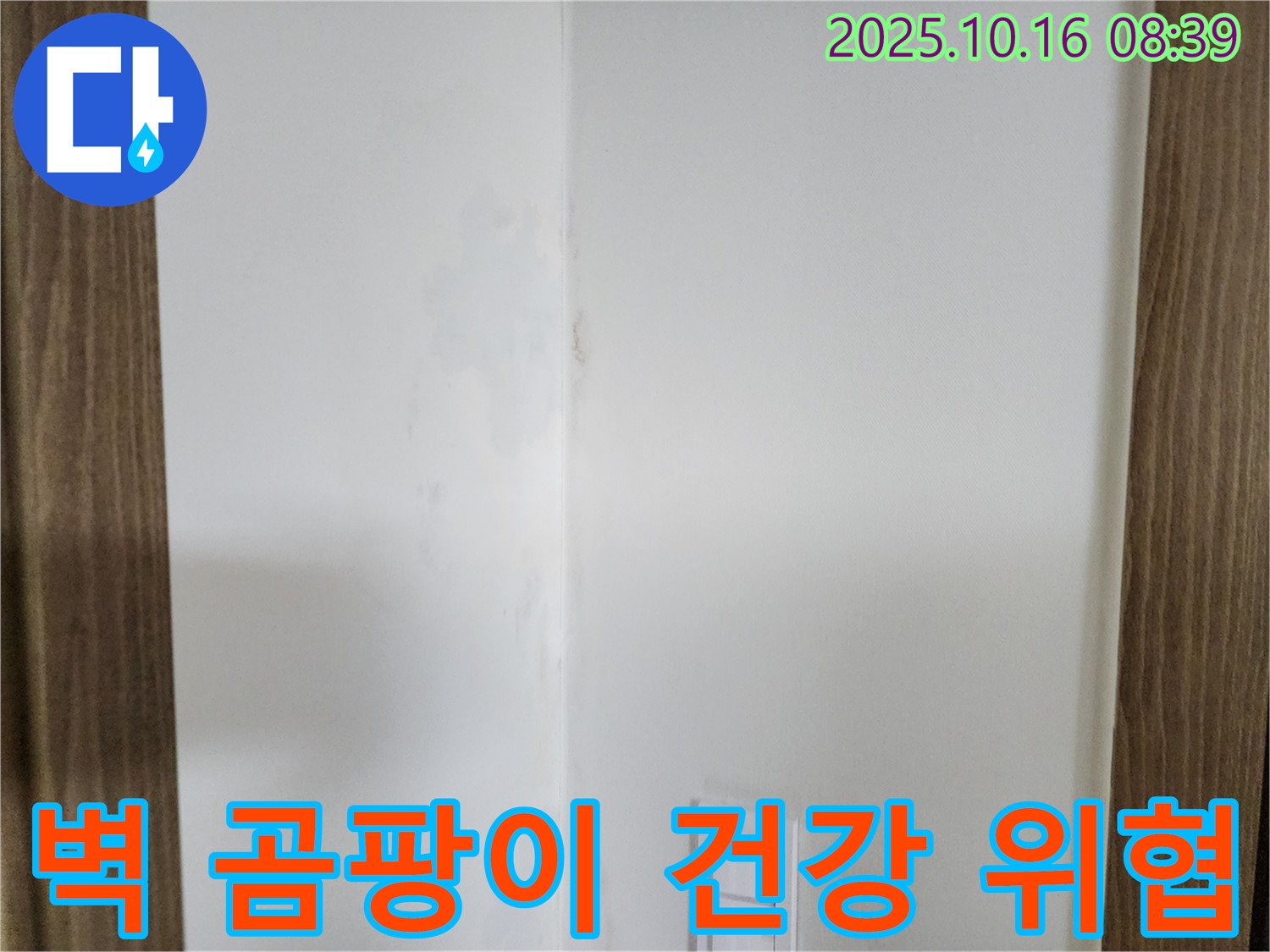 양주시 남면 주택 - 벽 모서리 곰팡이, 건강 위협 - 누수 탐지 필요