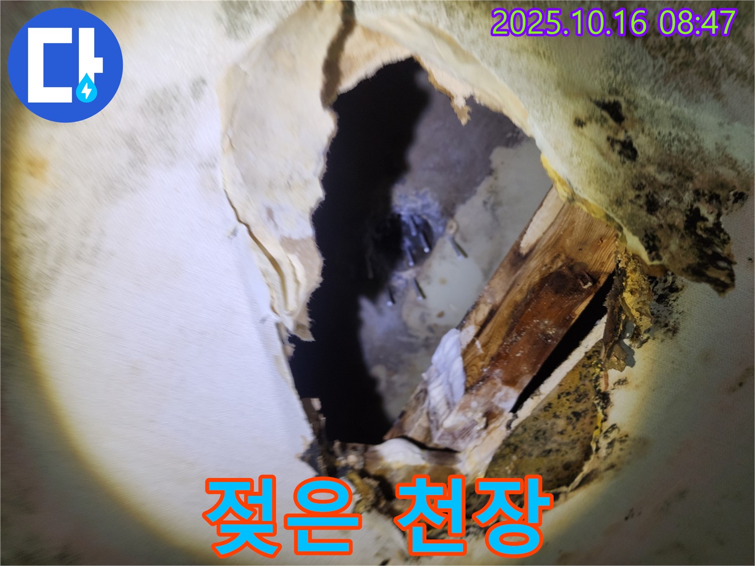 양주시 누수탐지 - 곰팡이 냄새와 젖은 천장 - 숨겨진 누수를 의심하고 정밀 검사 및 완벽 해결을 약속드립니다.