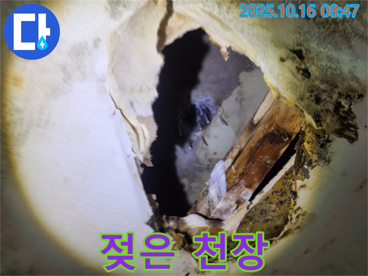 양주시 누수탐지 - 젖은 천장과 곰팡이 냄새 - 숨겨진 누수를 의심하고 정밀 검사 진행
