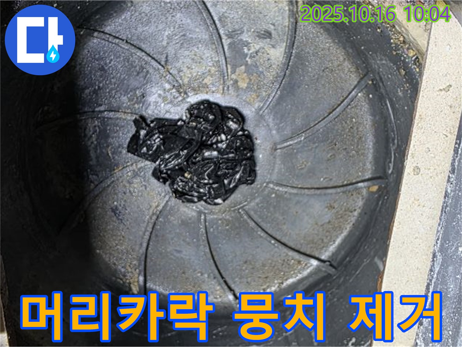 양주 옥정 율정마을 아파트 누수 원인 - 욕조 배수구에서 꺼낸 머리카락 뭉치