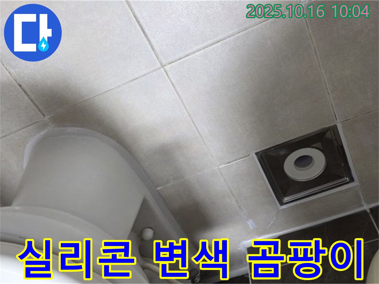양주 율정마을 화장실 누수 - 변기 주변 타일 틈새 실리콘 미세 변색 및 초기 곰팡이