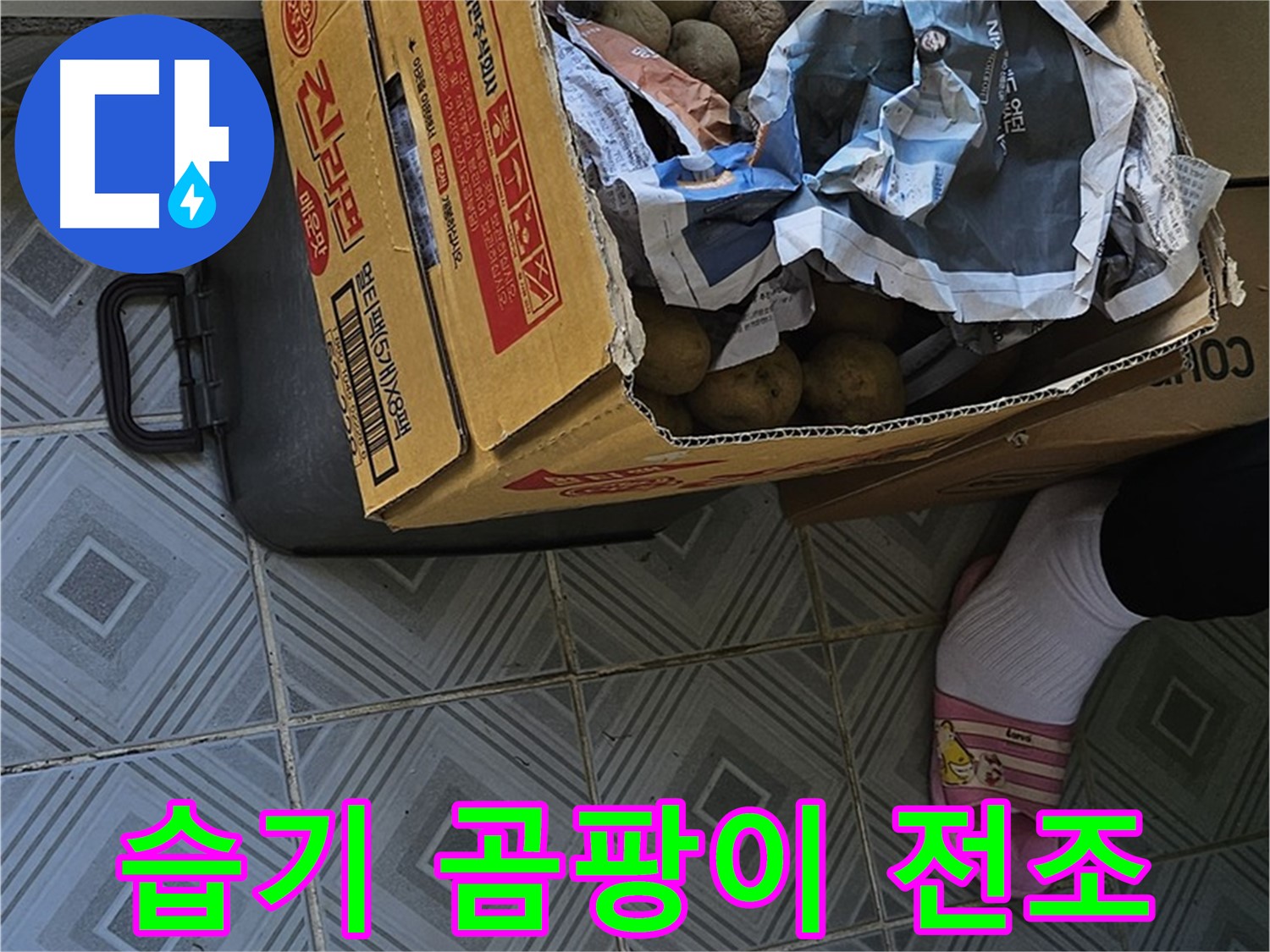 신월1동 엘리시안 A동 누수 현장 - 감자 박스 주변 습기는 곰팡이 폭탄의 전조일 수 있습니다 - 즉시 점검하세요.