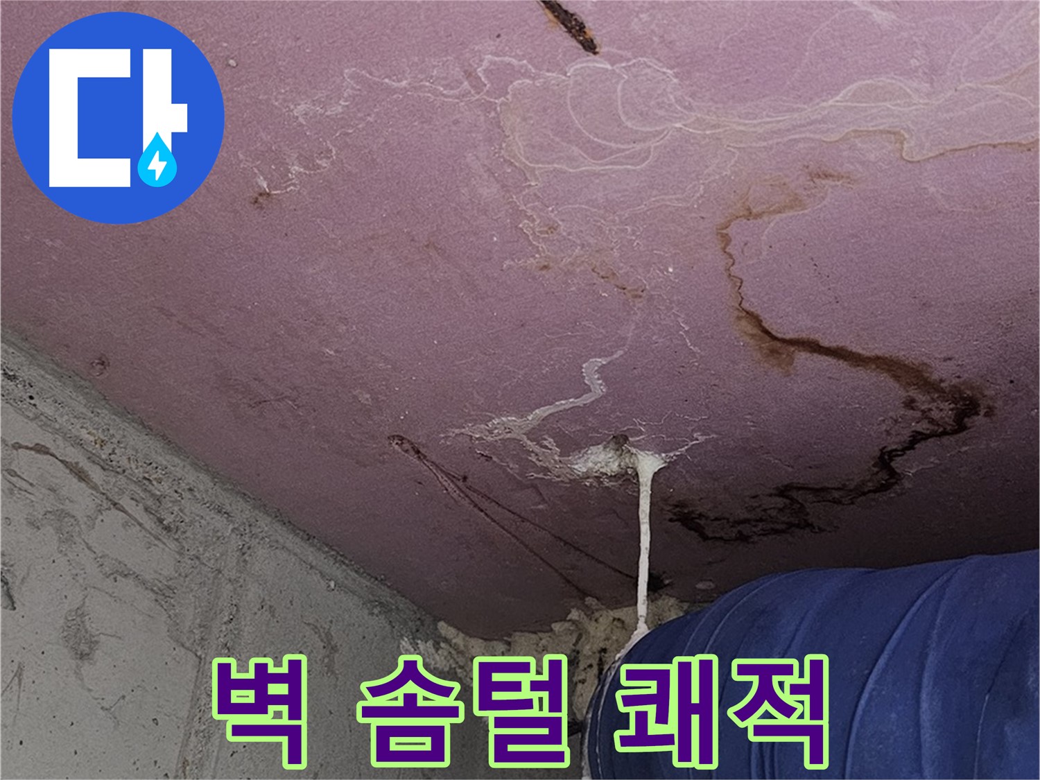 신월동 양천구 누수 - 벽 솜털 곰팡이 - 쾌적한 실내 환경