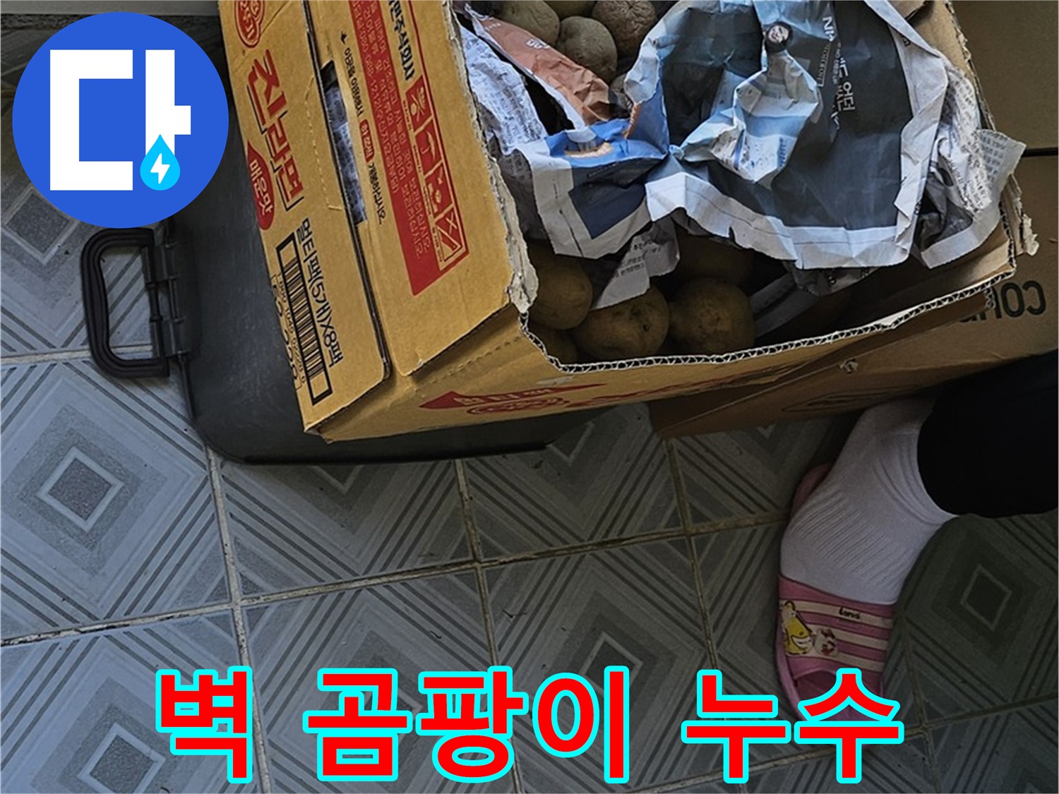 양천구 신월동 누수 현장 - 감자 박스 주변 벽에 곰팡이가 피었다면 누수를 의심해야 합니다 - 건강에도 해로울 수 있습니다.