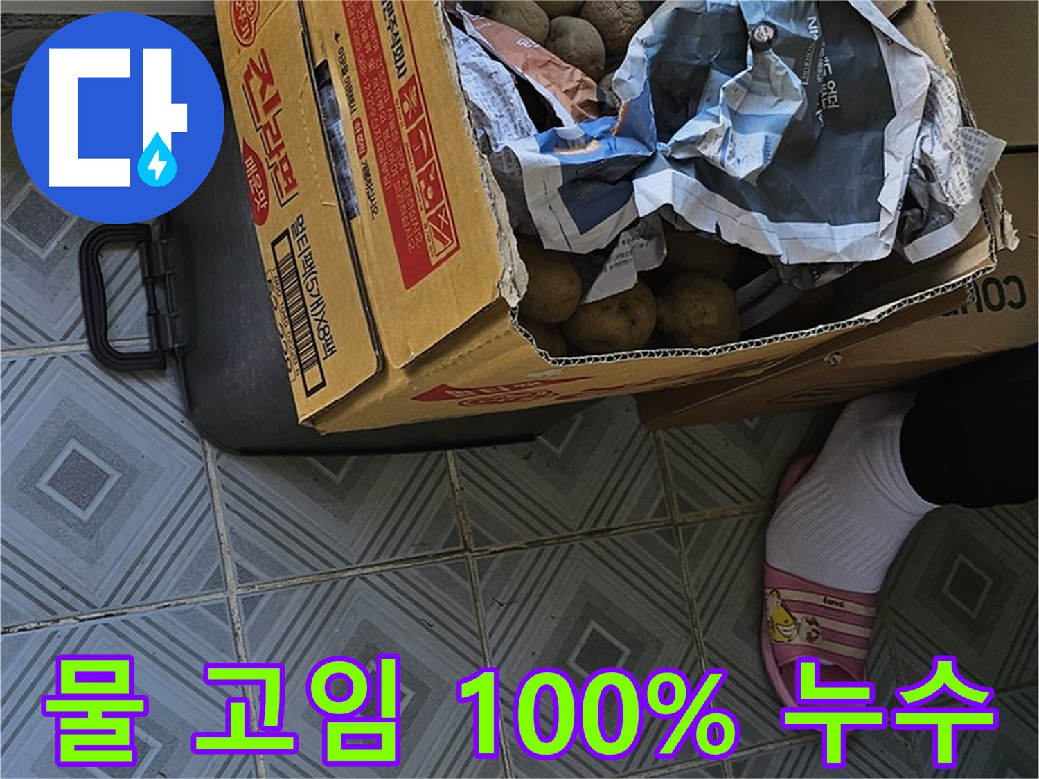 양천구 신월동 누수 현장 - 감자 박스 주변에 물이 고여 있다면 100% 누수입니다 - 즉시 전문가에게 문의하세요.