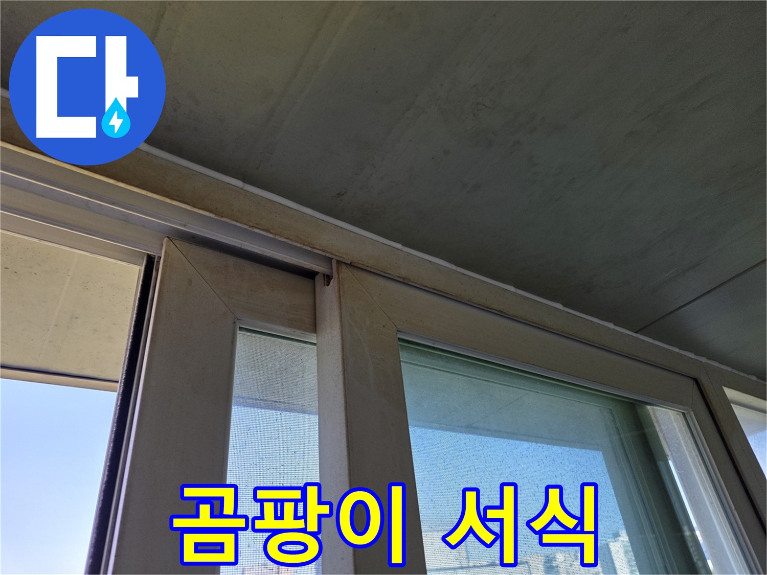 양천구 신월동 창틀 누수 - 곰팡이 서식 - 알레르기 유발
