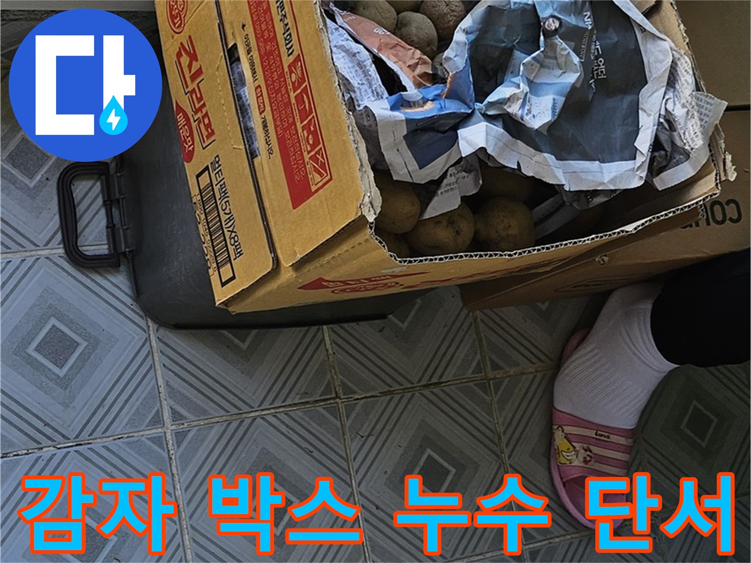 양천구 신월동에서 누수 탐지 중 발견된 감자 박스 - 누수의 원인을 찾는 중요한 단서가 숨어있을지도 모릅니다.