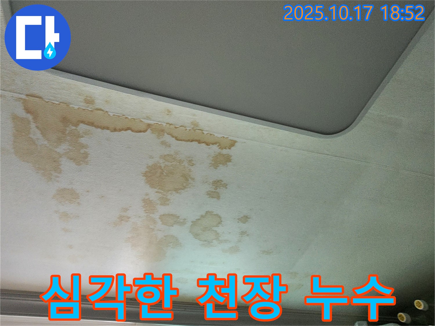 심각한 천장 누수 - 즉각적인 조치 필요 - 전문가 상담