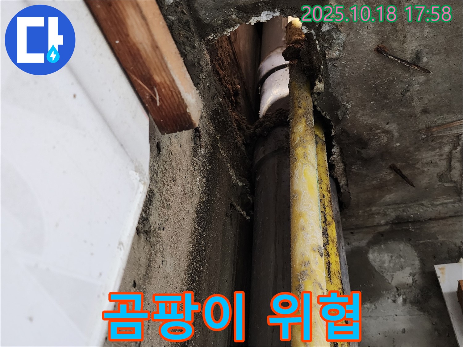 양주시 장흥 누수 - 누수 부위 주변 곰팡이 - 건강까지 위협하는 누수, 신속하게 해결하세요!