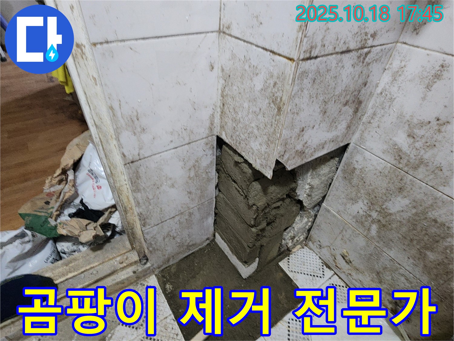 양주시 장흥면 교현리 누수 - 곰팡이 제거 전문가의 손길