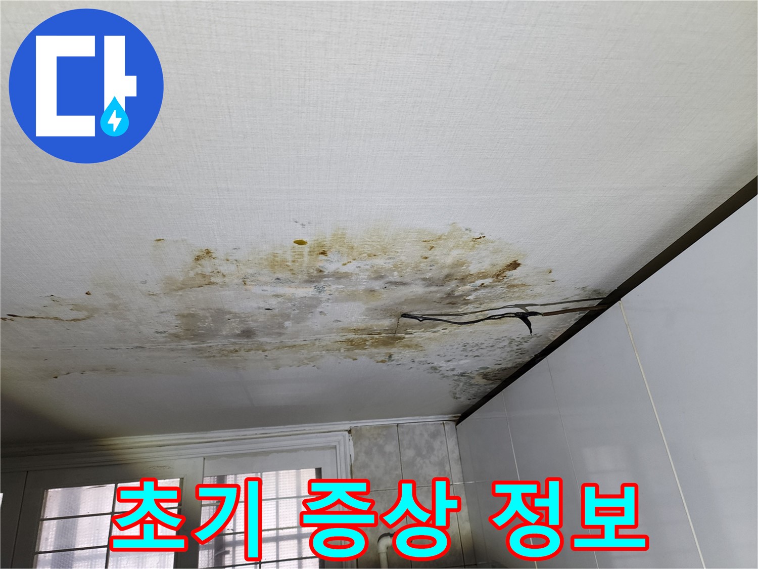 천장 누수 초기 증상 - 서대문구 주민을 위한 정보
