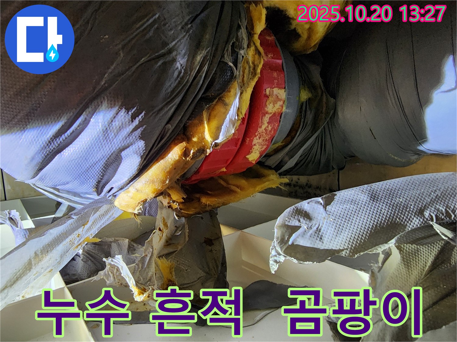 누수 흔적과 곰팡이 발견 - 습한 환경으로 인한 2차 피해 우려