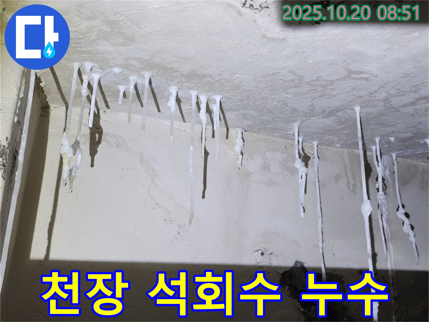 양주시 장흥면 석현리 주택 천장 석회수 누수 - 누수 해결 과정을 담았습니다.