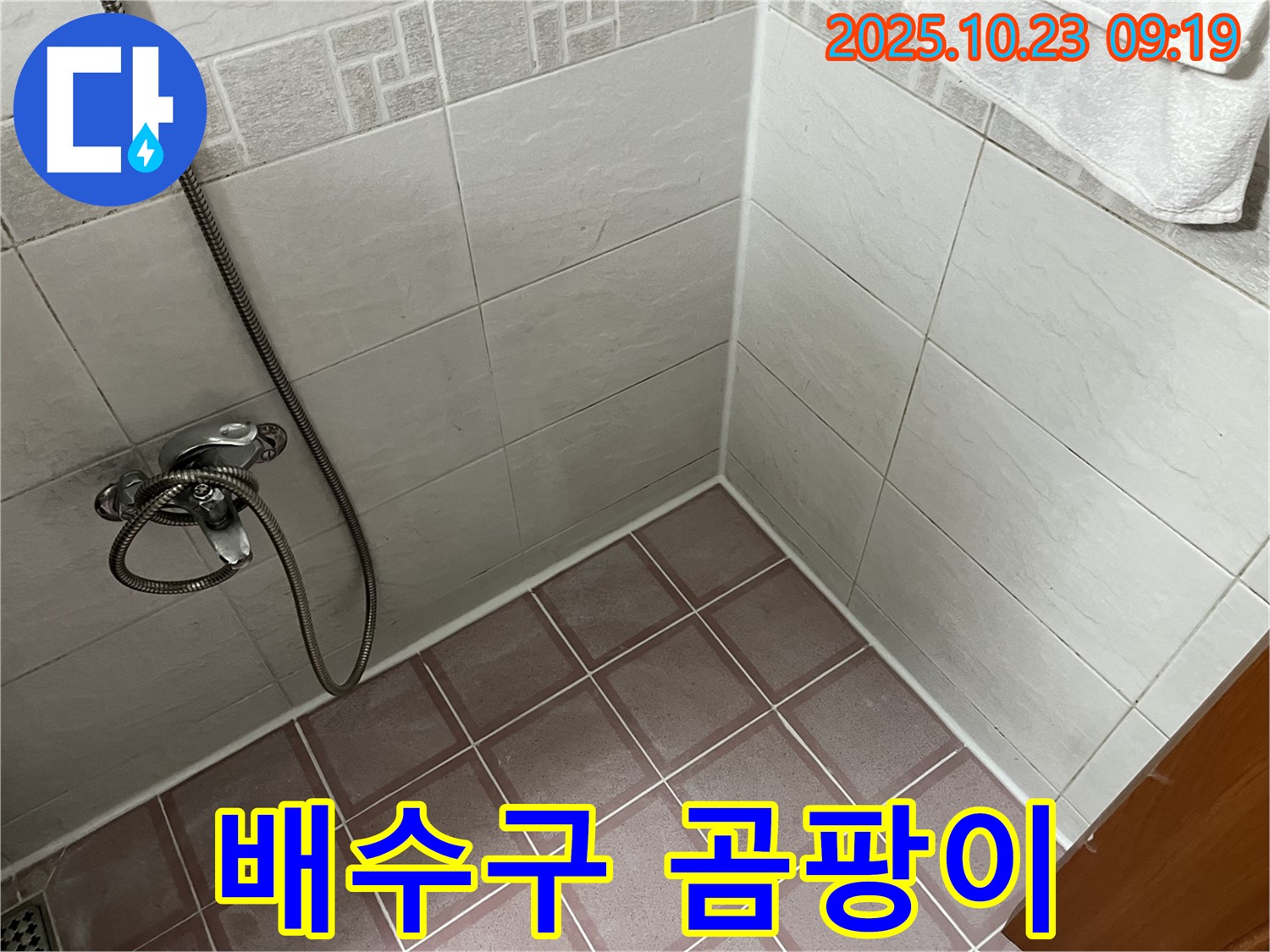 금천구 독산동 형제맨션빌 욕실 누수 - 세면대 배수구 주변 곰팡이 - 습기 관리 필수