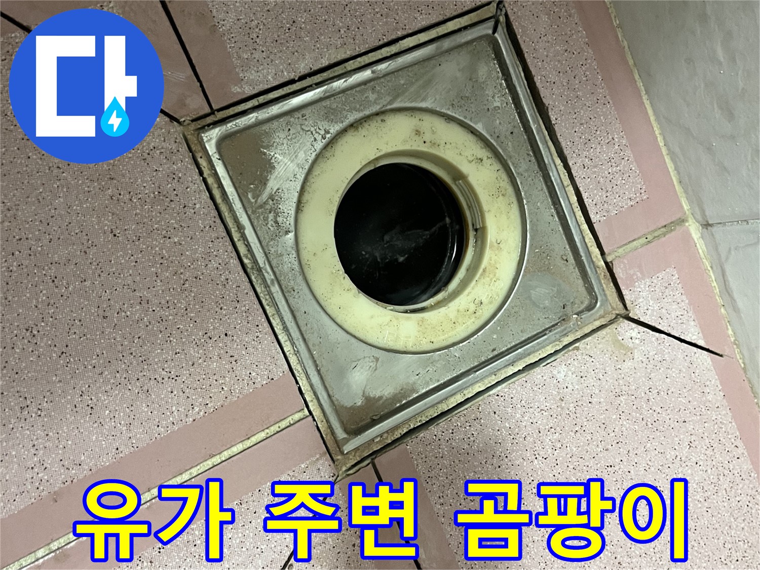 금천구 독산동 형제빌 욕실 유가 주변 곰팡이 발생 - 누수 의심