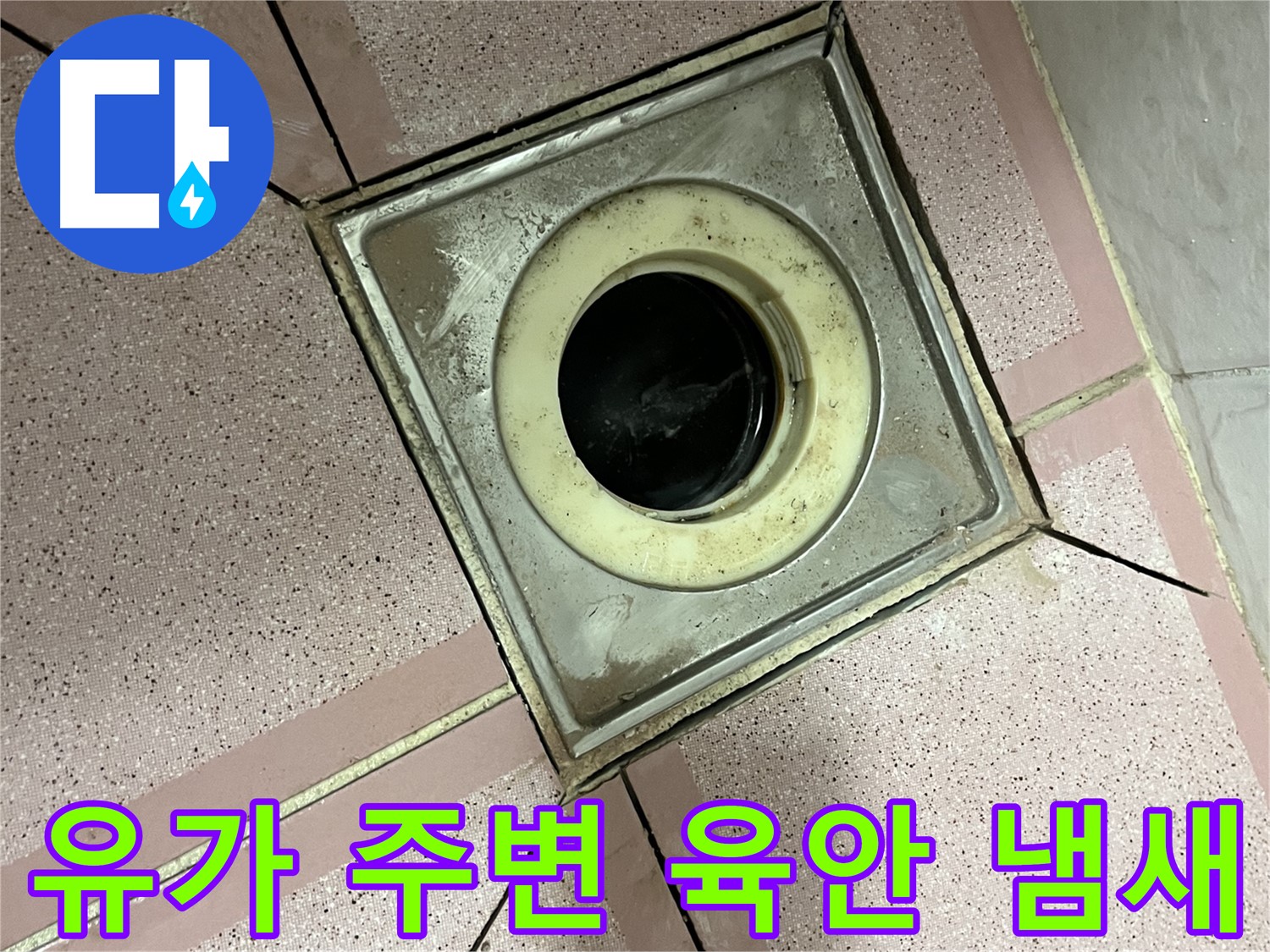 금천구 독산동 형제빌 유가 주변 육안 및 냄새 점검 - 종합 누수 진단