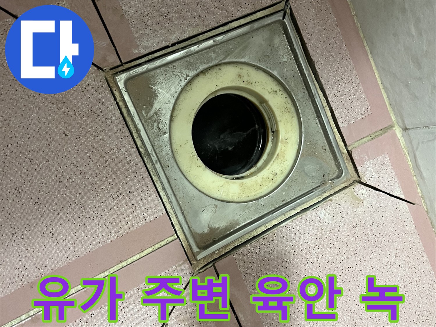 금천구 독산동 형제빌 유가 주변 육안 및 녹 점검 - 종합 누수 진단