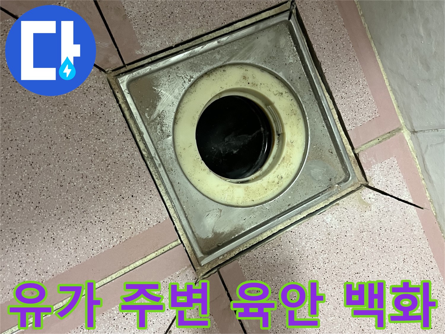 금천구 독산동 형제빌 유가 주변 육안 및 백화 점검 - 종합 누수 진단