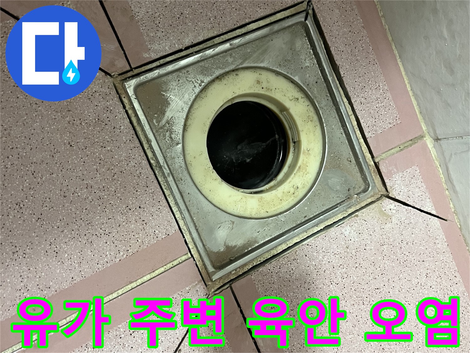 금천구 독산동 형제빌 유가 주변 육안 및 오염 상태 점검 - 종합 누수 진단