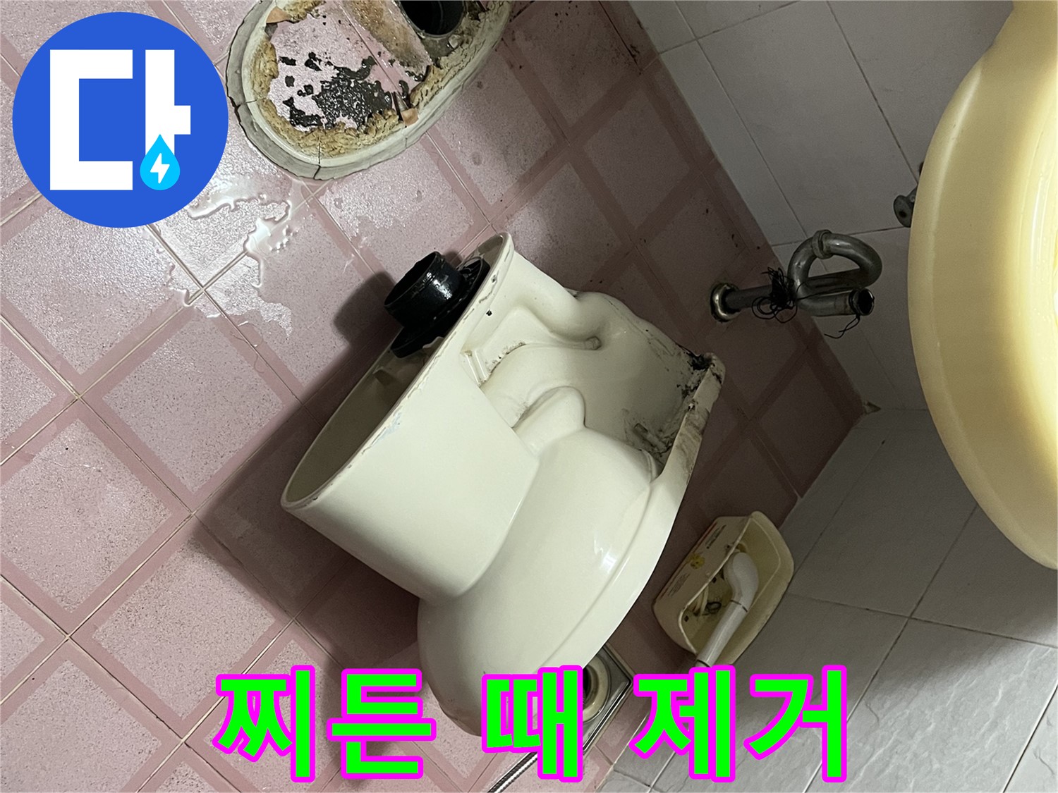 금천구 형제빌 - 찌든 때와 곰팡이 완벽 제거 작전 개시!