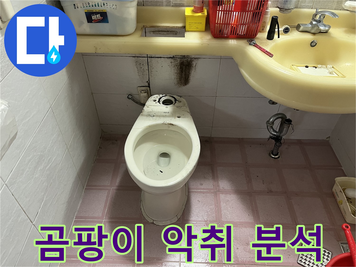 독산동 형제맨션빌 변기 누수 - 곰팡이 악취 분석