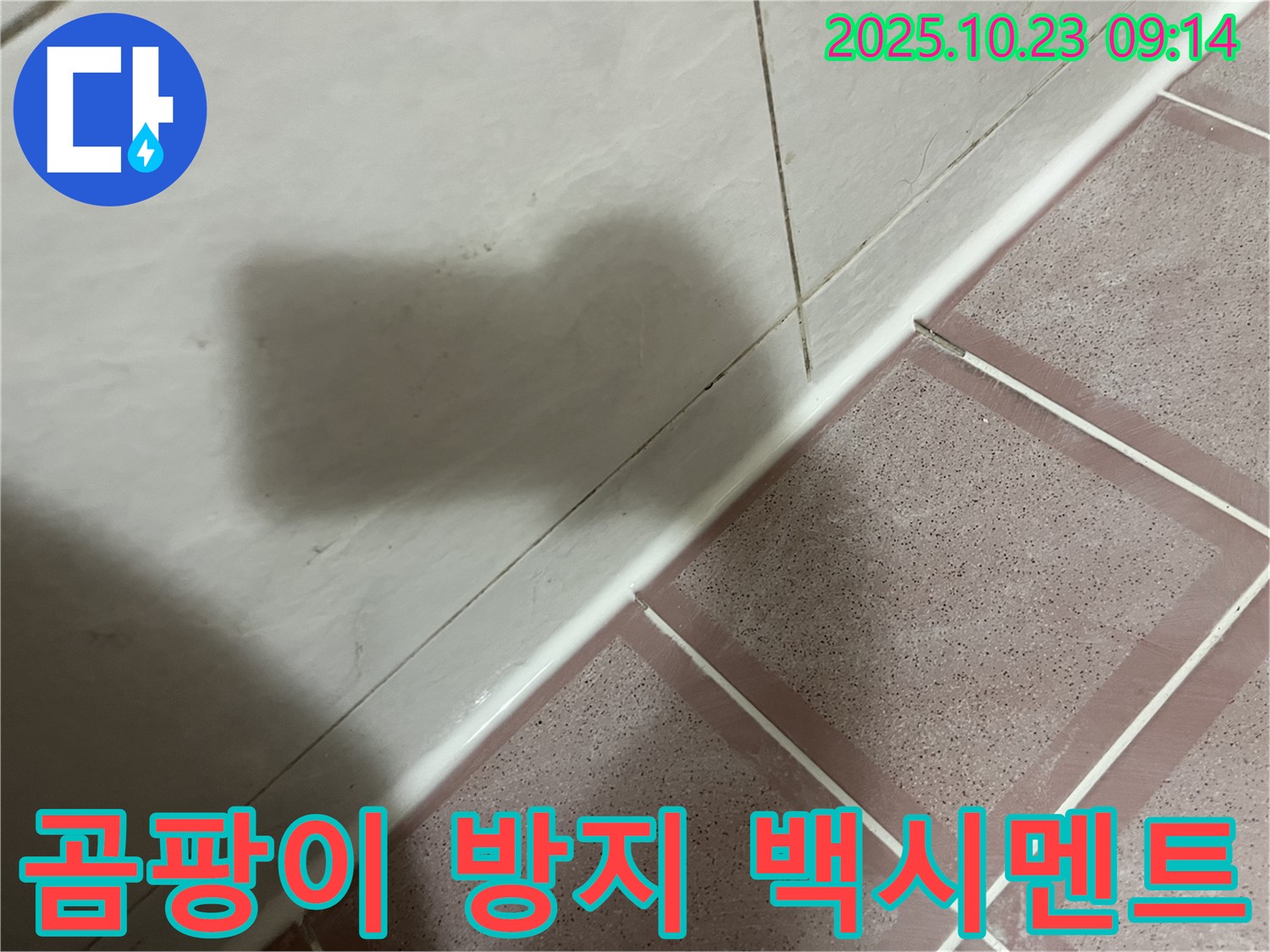타일 틈새 곰팡이 방지 백시멘트 시공 - 곰팡이 걱정 없이 쾌적하게! - 독산동