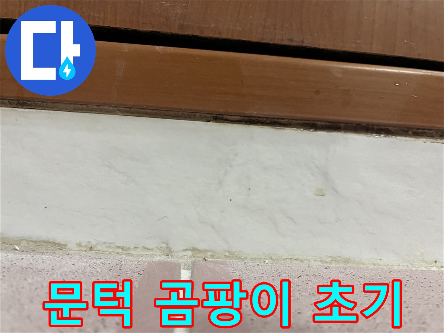 형제맨션빌 누수 - 문턱 아래 타일 틈새 곰팡이와 물때 초기