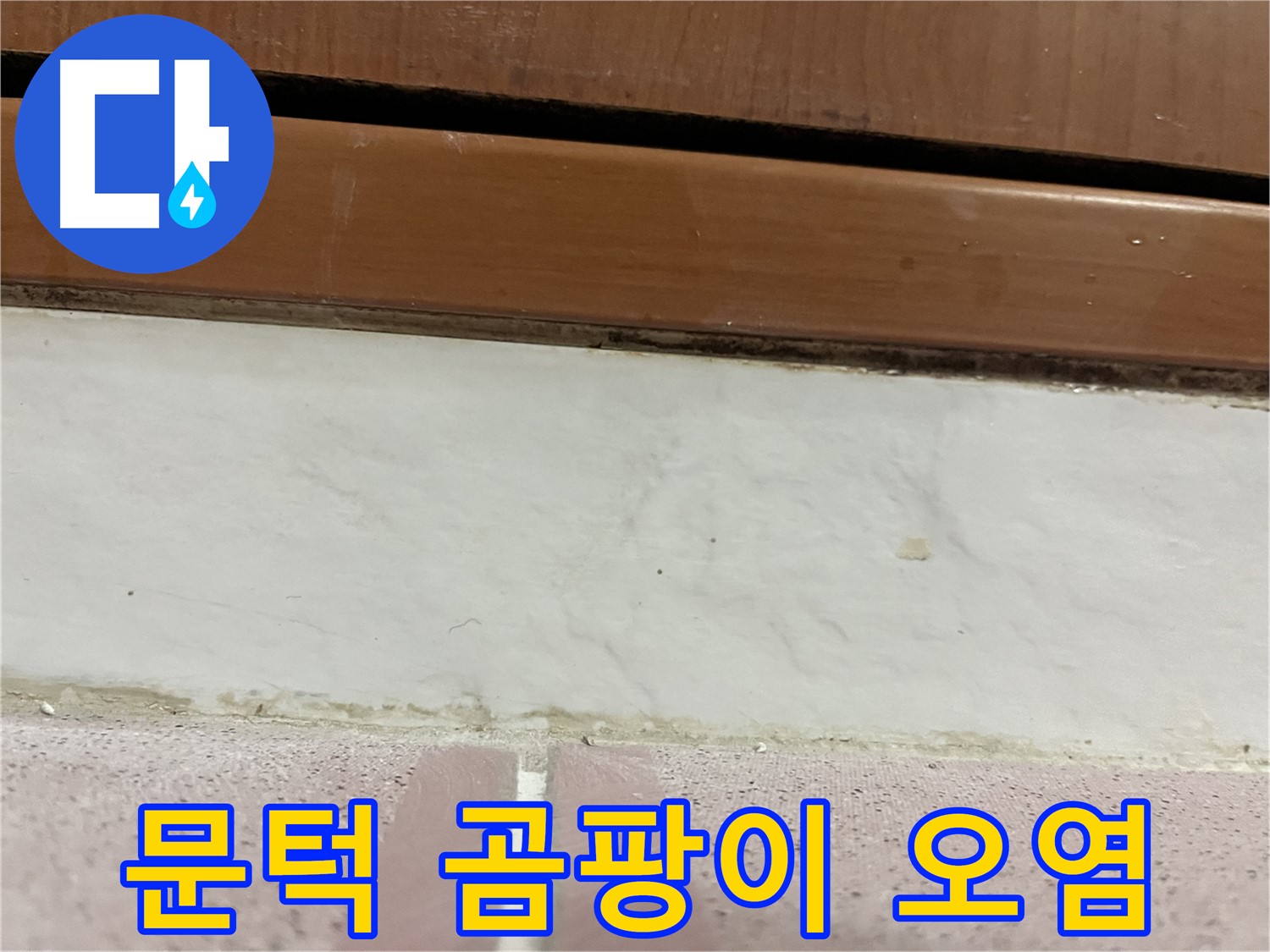 형제맨션빌 누수 - 문턱 아래 타일 틈새 곰팡이와 백시멘트 오염