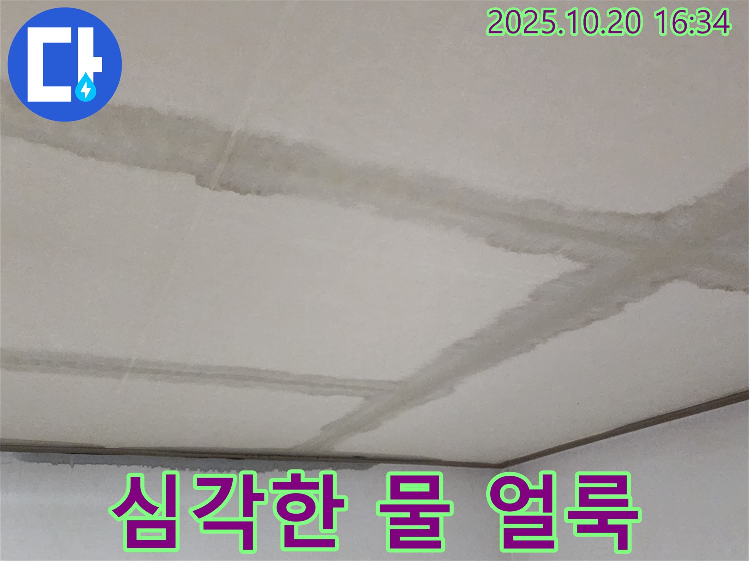 양주 장흥면 부곡리 콘크리트 천장 - 심각한 물 얼룩과 젖은 흔적이 누수의 심각성을 보여줍니다.