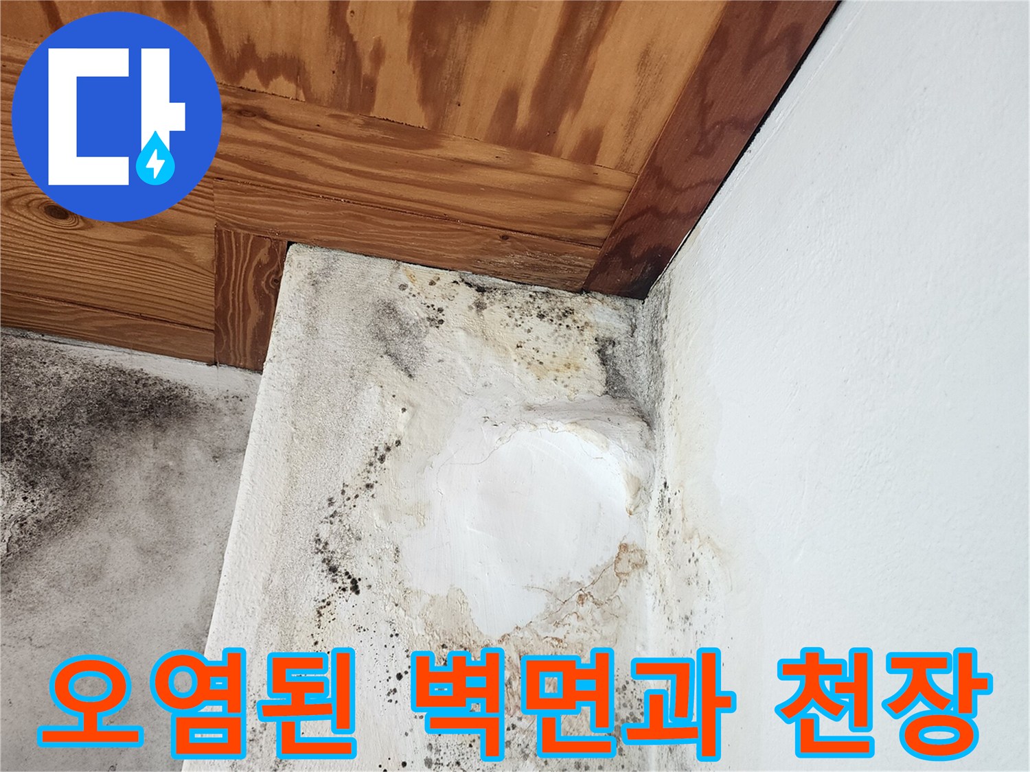 곰팡이와-습기로-오염된-다용도실-벽면