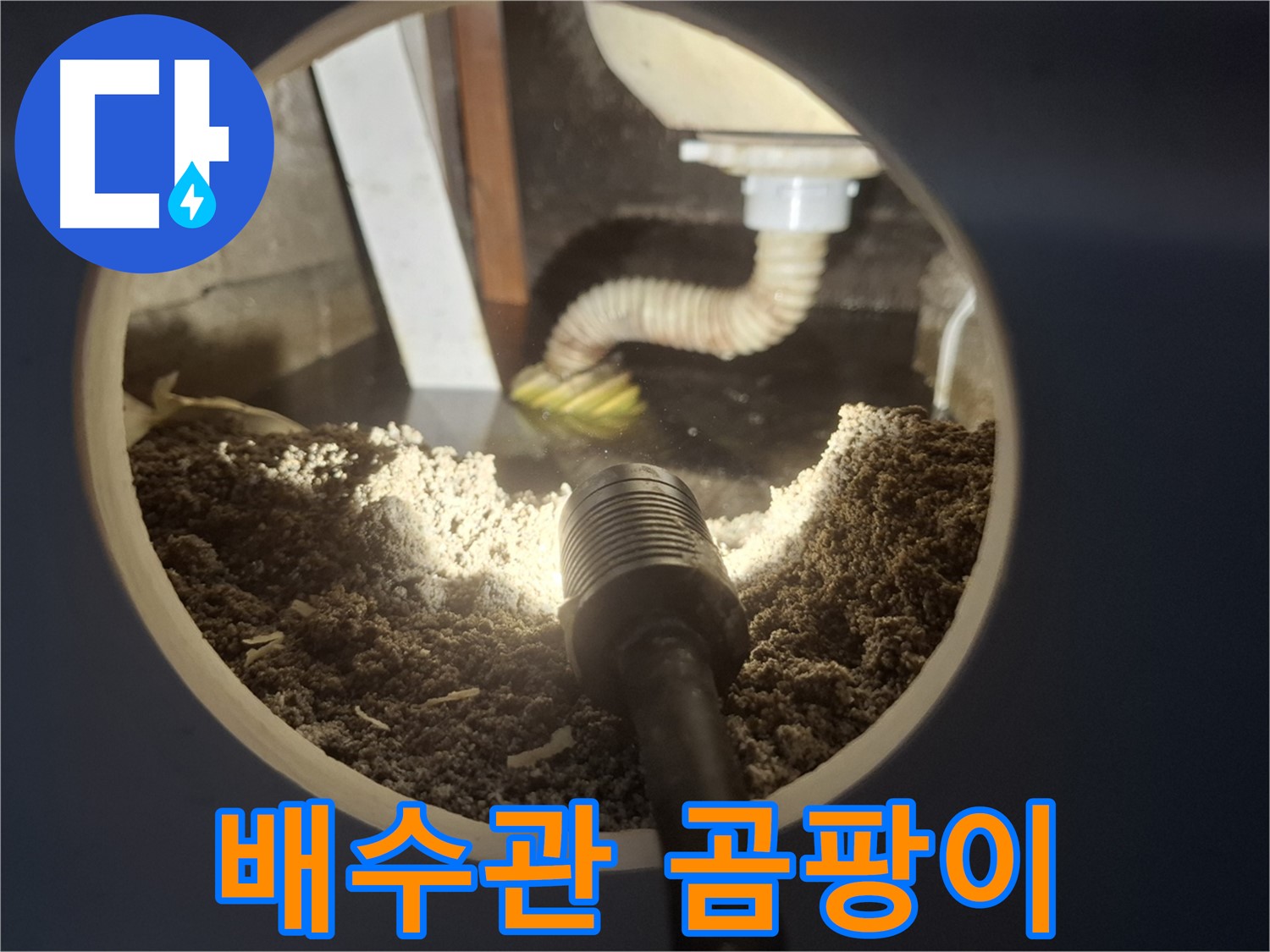 수원 팔달구 신풍동 누수 - 배수관 주변 곰팡이 누수 해결이 우선