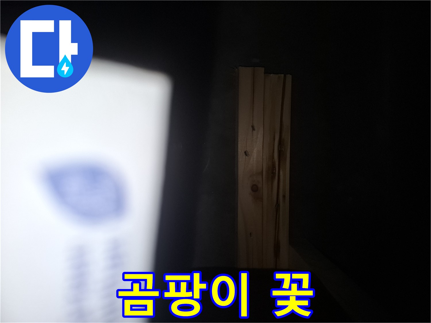 수원 팔달구 신풍동 누수 - 벽에 곰팡이 꽃 발생 - 심각한 오염 상태.