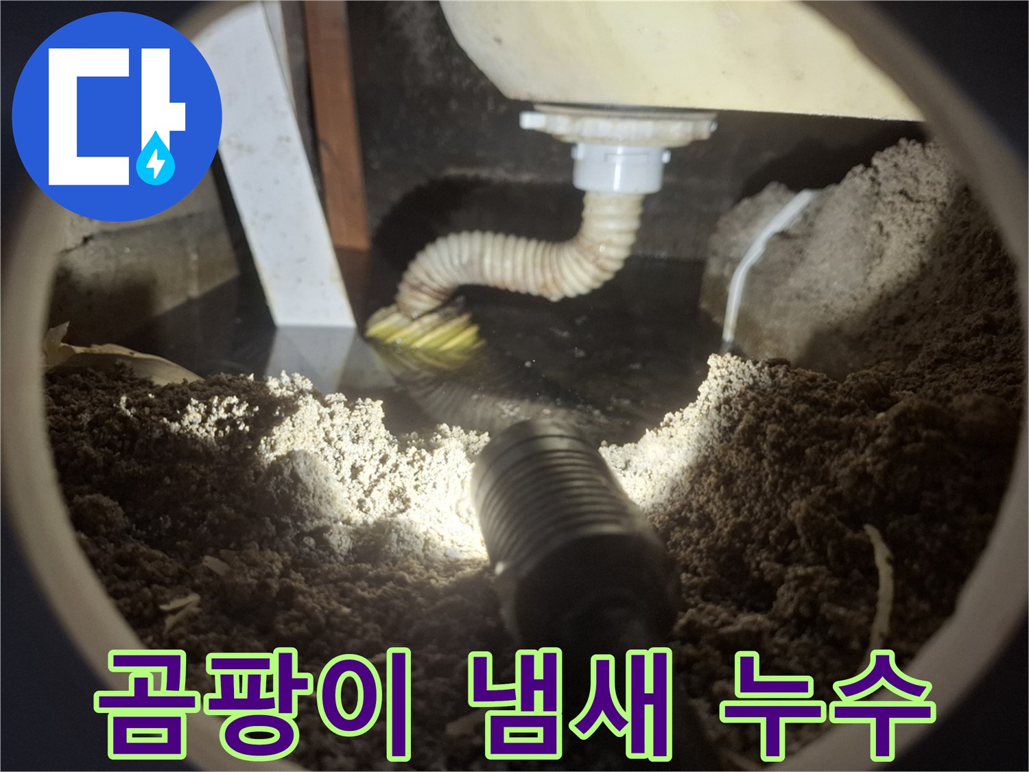 수원 팔달구 신풍동 누수 - 세탁실 누수와 함께 곰팡이 냄새가 나는 경우 - 습기 제거와 누수 해결이 동시에 필요합니다.