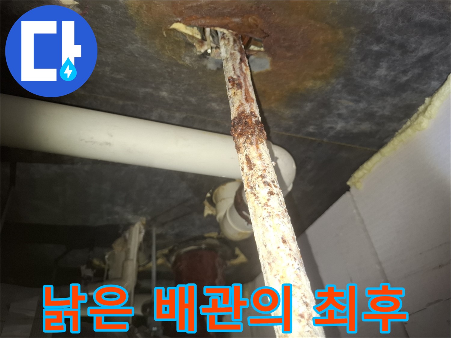 수원 팔달구 신풍동 누수 현장에서 낡은 배관의 최후를 보여줍니다 - 새 배관으로 교체하여 누수 문제를 해결했습니다.