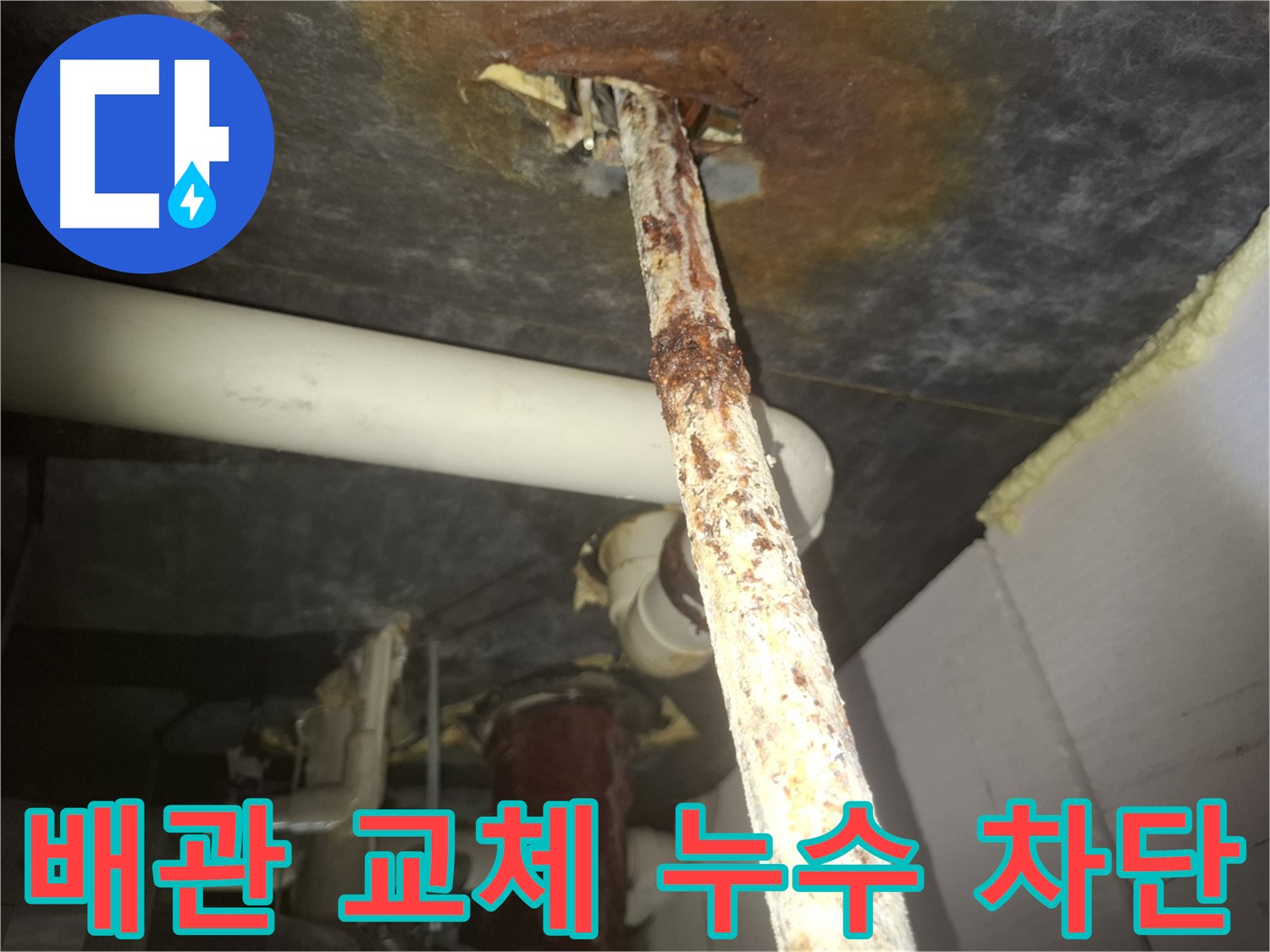 수원 팔달구 신풍동 누수 현장에서 배관 교체로 누수를 완벽하게 차단했습니다 - 새 배관으로 교체하여 누수 걱정 없이 안심할 수 있습니다.