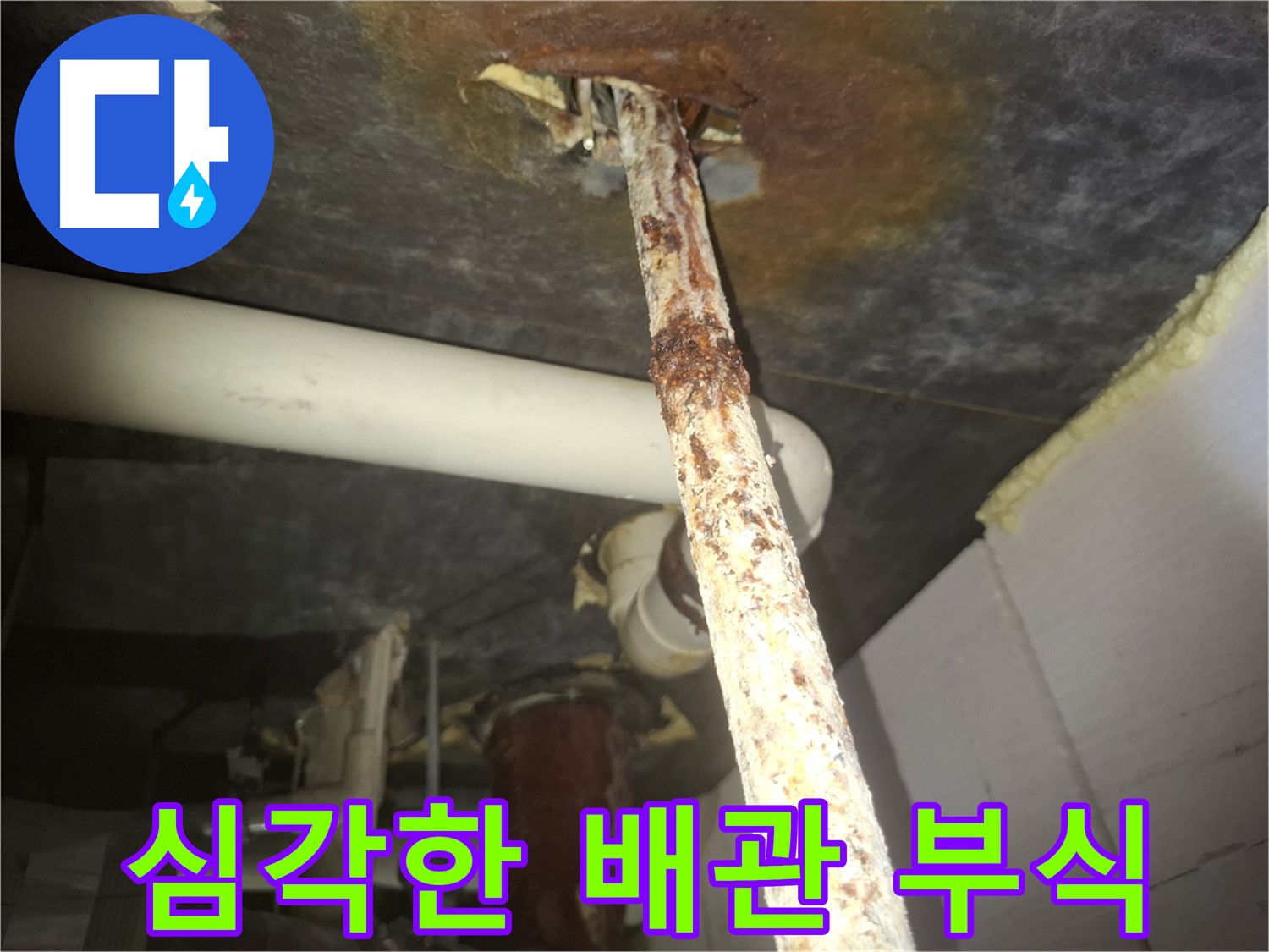 수원 팔달구 신풍동 누수 현장에서 심각하게 부식된 배관을 긴급 점검하고 있습니다 - 부식은 누수의 가장 큰 적입니다.