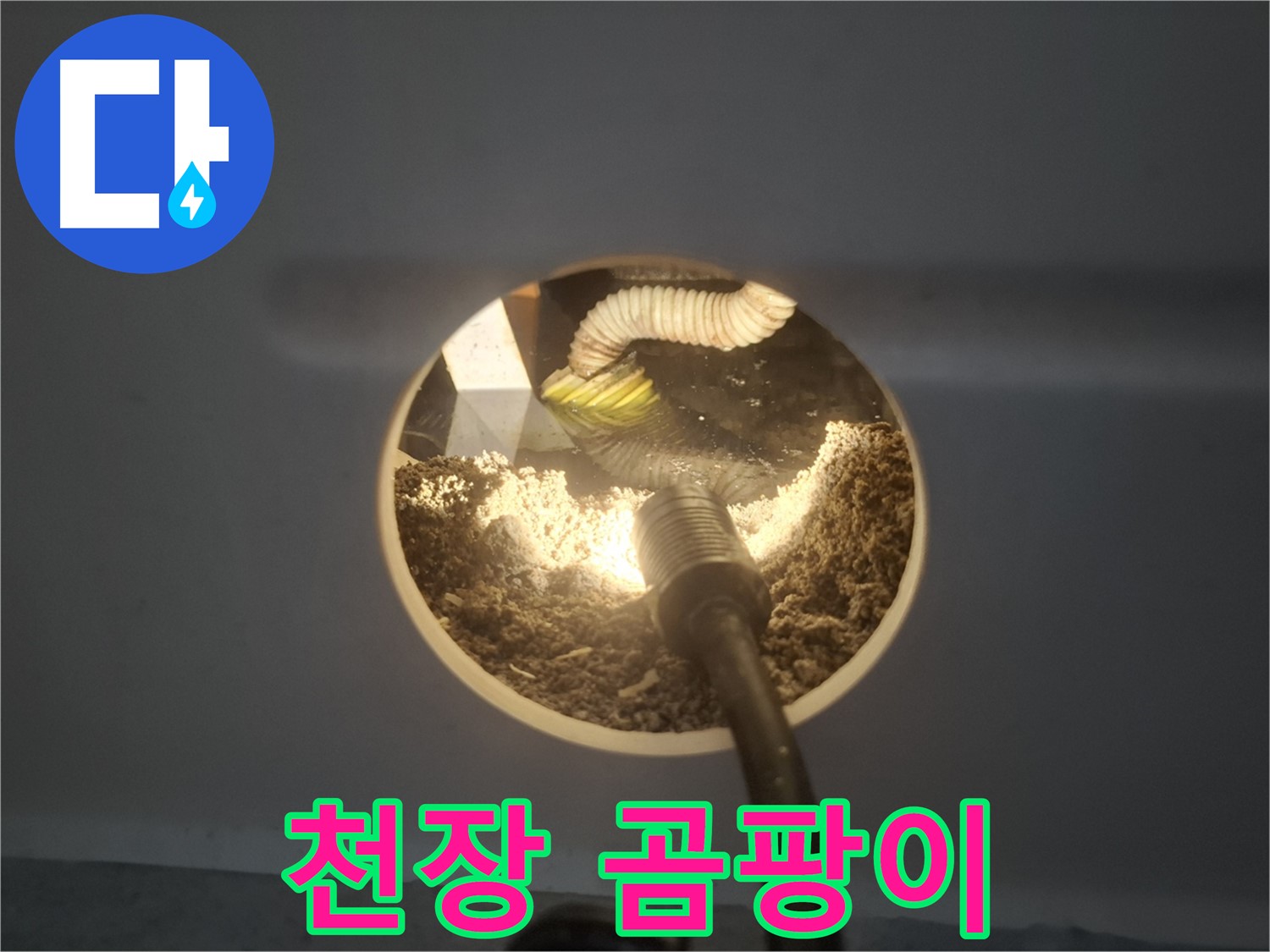 수원 팔달구 신풍동 천장 누수 - 곰팡이 발견