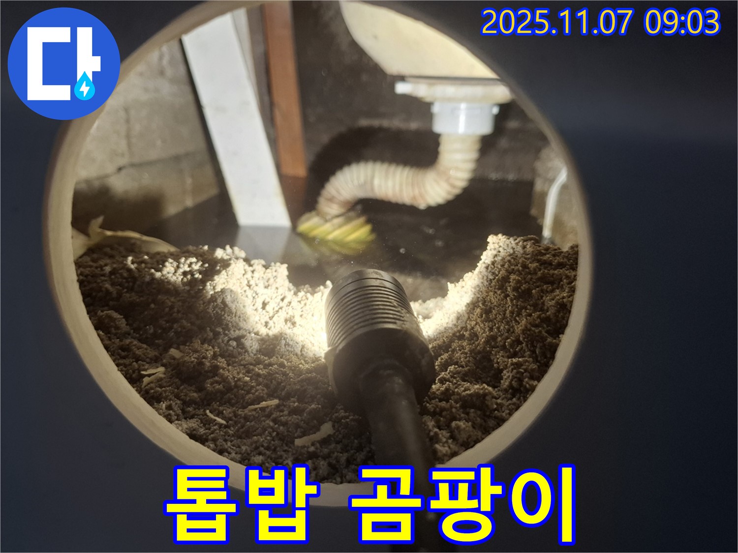 신풍동 주택 싱크대 하부 톱밥 젖음 - 곰팡이 발생 초기 증상 확인