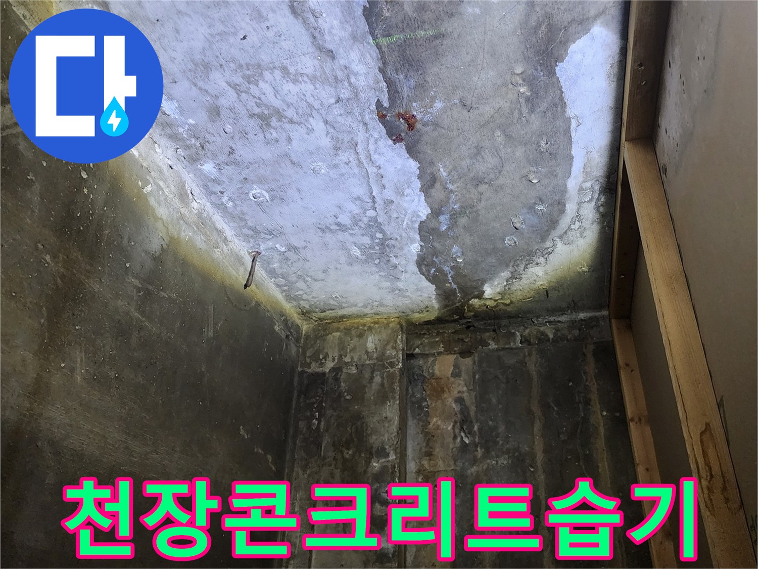 양주시 상가 건물-천장 콘크리트 슬래브의 습기와 변색 상태