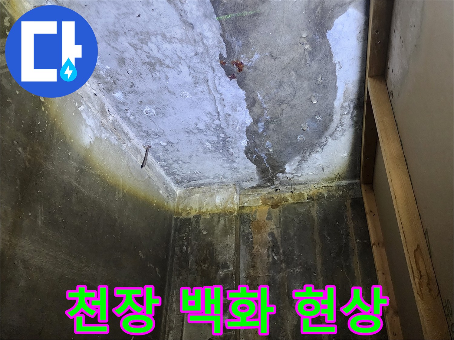 상가 내부 천장-습기로 인한 콘크리트 백화 및 오염