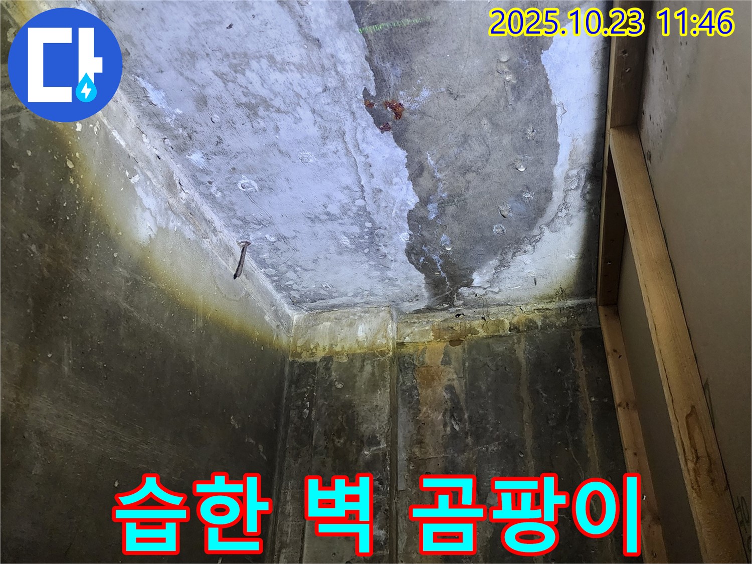 양주 은현면 하패리 누수 - 습한 벽은 곰팡이 번식에 최적의 환경을 제공합니다