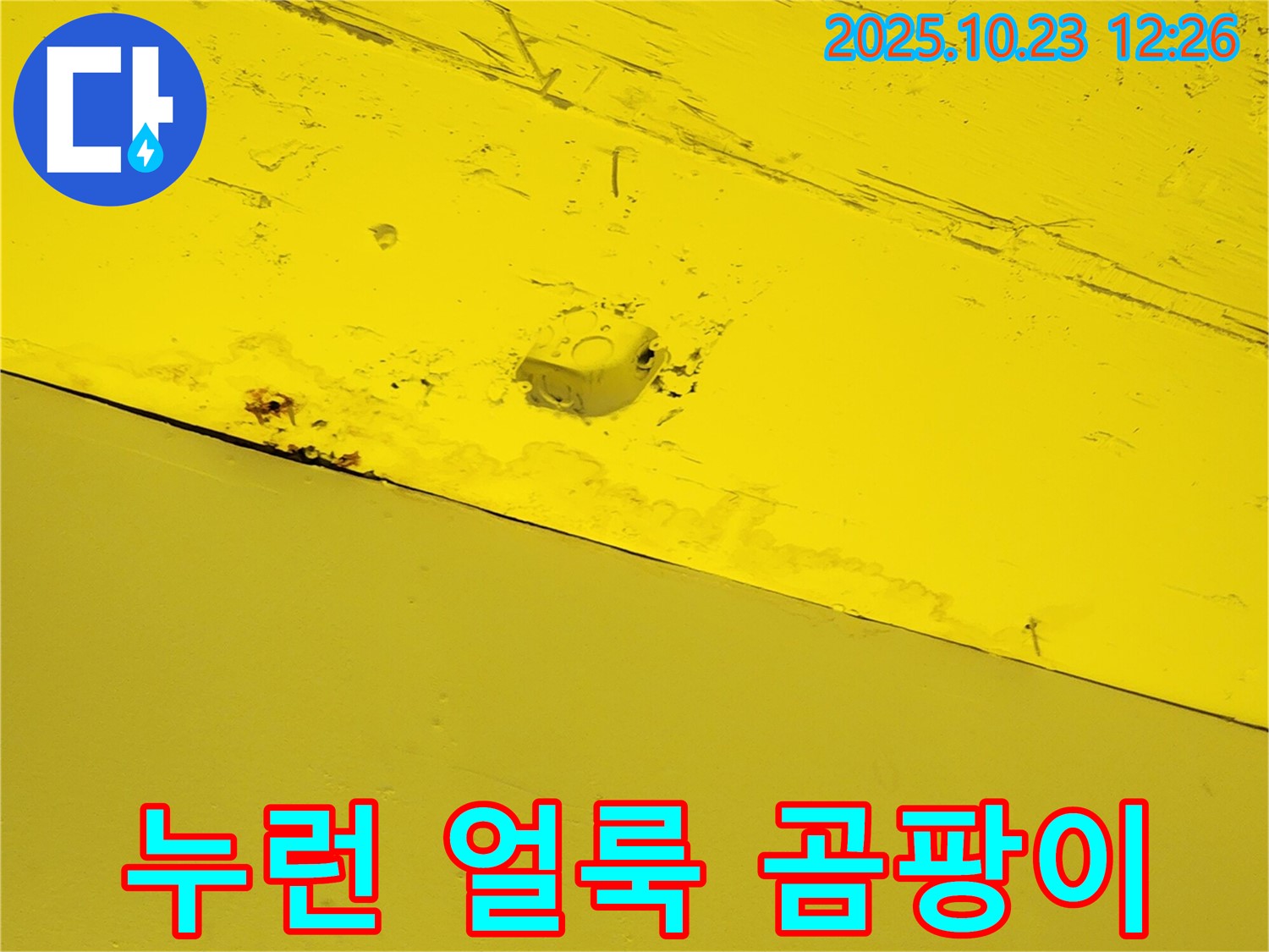 양주시 은현면 하패리 - 누런 얼룩과 곰팡이 냄새의 원인을 찾아 해결합니다 - 쾌적한 환경을 위해.